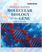 Molecular biology of the gene